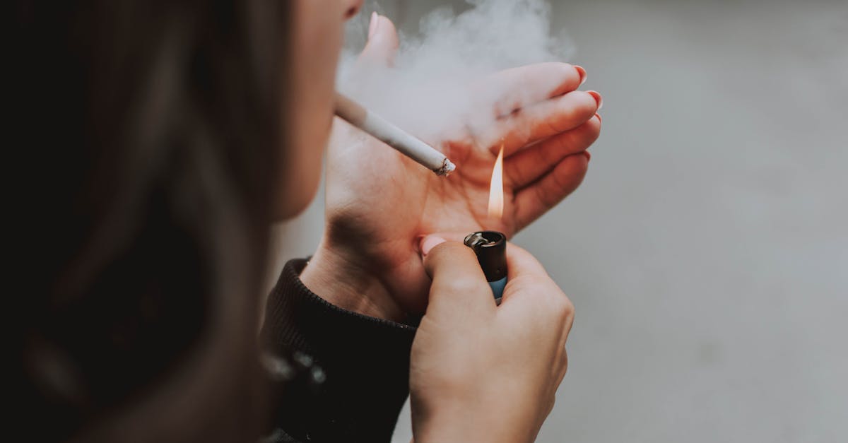 découvrez notre collection d'habits tendance pour tous les occasions. alliez confort et style avec nos vêtements adaptés à chaque saison et à chaque personnalité. faites le plein d'inspiration mode !