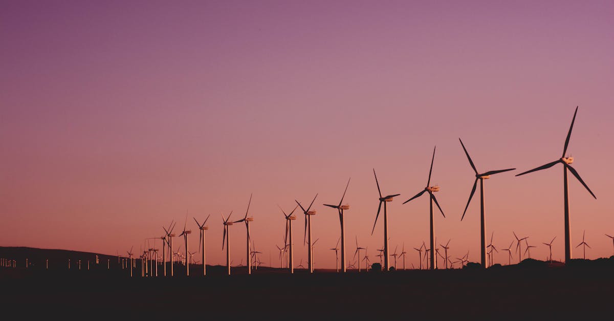 découvrez l'importance du développement durable pour un avenir responsable. explorez des stratégies, des pratiques et des initiatives qui favorisent une croissance économique respectueuse de l'environnement et du bien-être social.