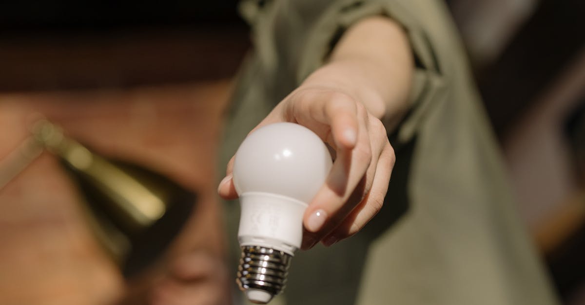 découvrez comment l'innovation durable transforme notre avenir en intégrant des pratiques respectueuses de l'environnement et des technologies avancées pour créer des solutions viables et responsables.
