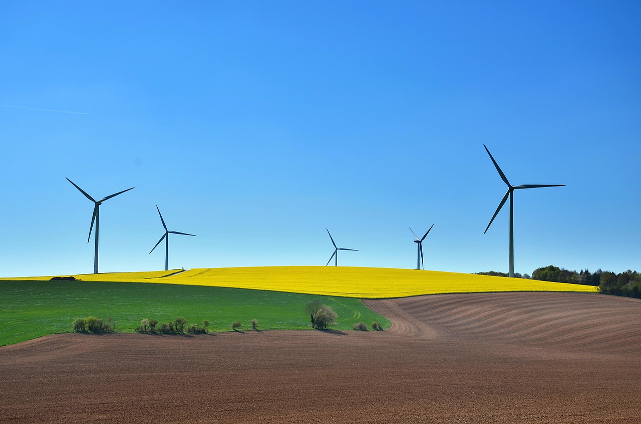 Développement durable : enjeux et solutions pour un avenir responsable