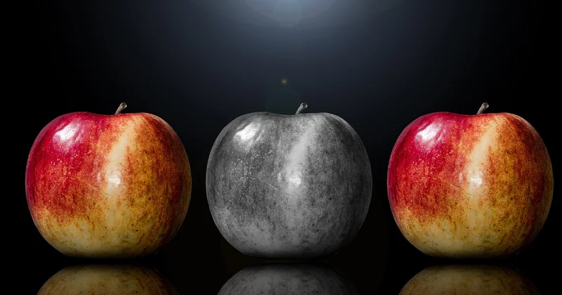 Tableau comparatif : quel code pour quel besoin