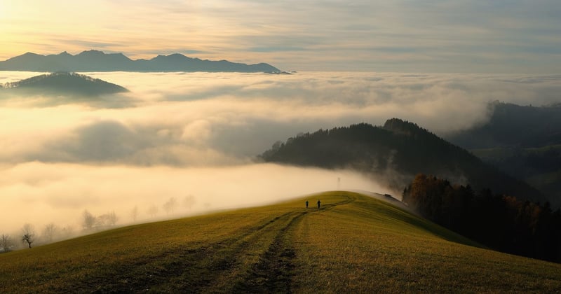 Comment utiliser l'altimetre Google Map pour connaître l'altitude