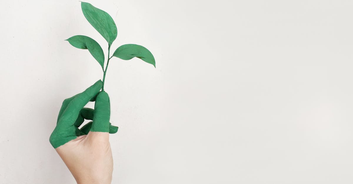 Comprendre les enjeux du développement durable dans nos sociétés modernes