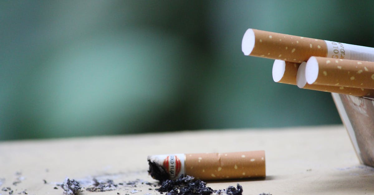 Usage antérieur : comprendre son impact sur nos habitudes actuelles
