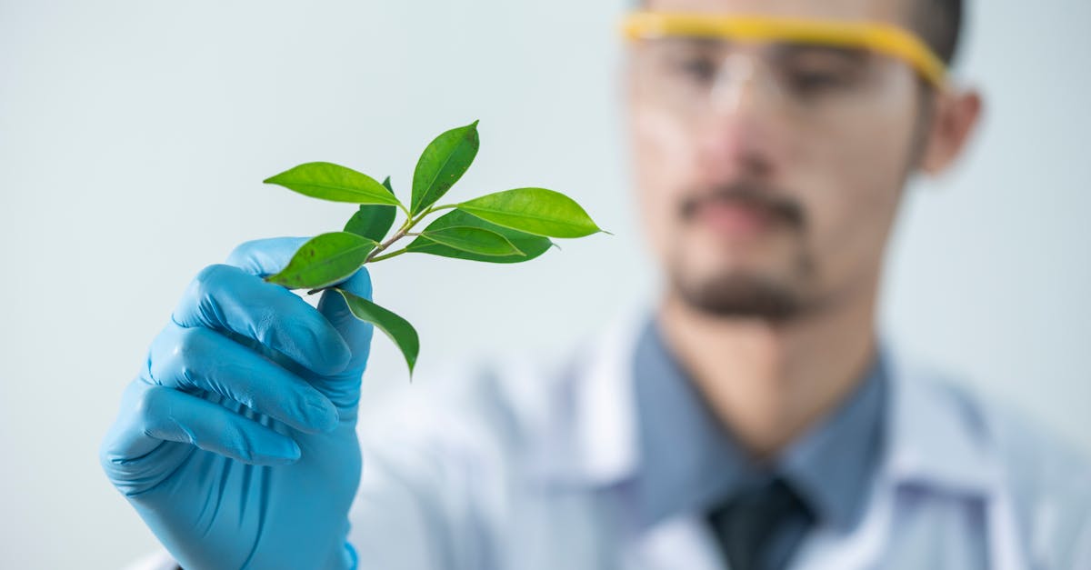 Protection de l’innovation : stratégies efficaces pour sécuriser vos créations
