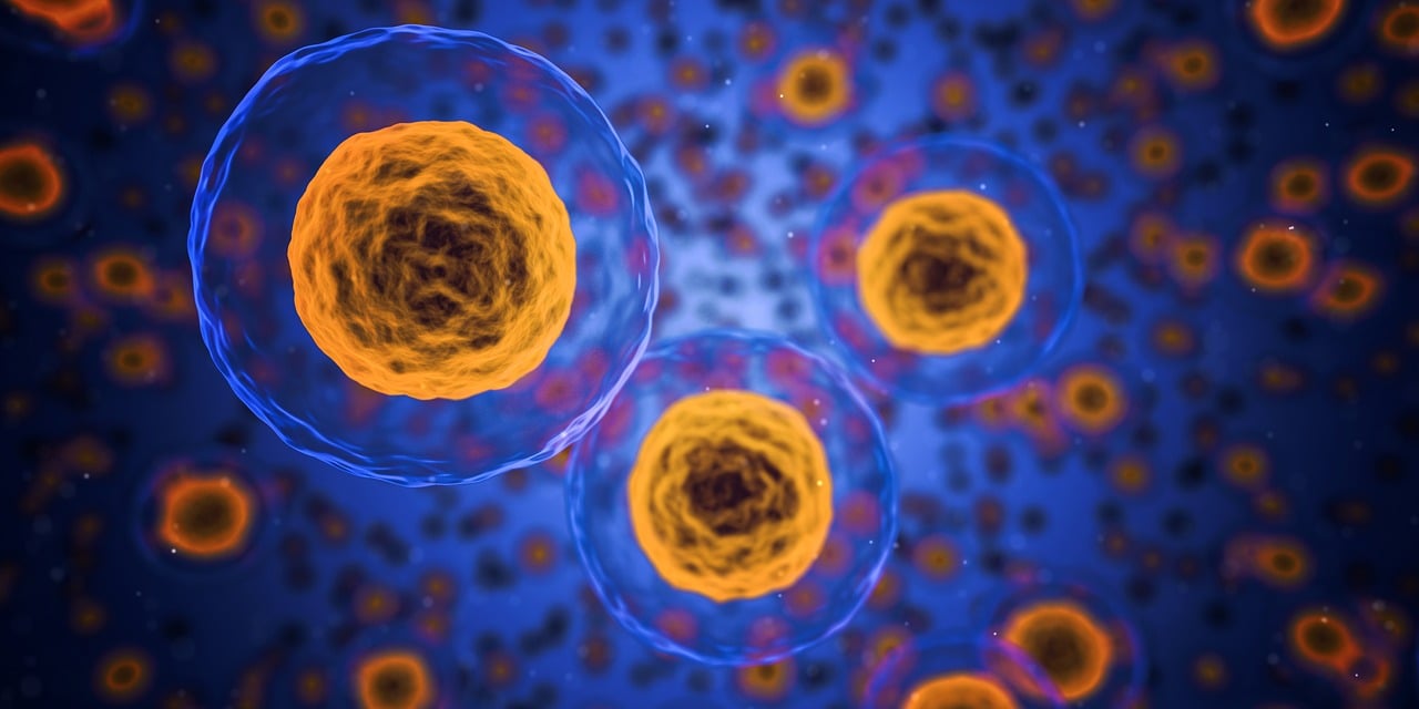 découvrez les dernières avancées en matière d'innovation scientifique qui transforment notre monde. explorez des technologies révolutionnaires et des recherches pionnières qui façonnent notre avenir.