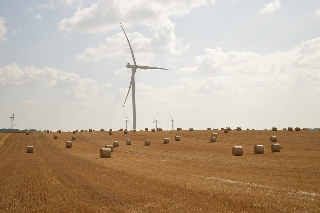 découvrez comment l’économie durable favorise la croissance responsable, protège l’environnement et encourage des pratiques éthiques pour un futur prospère et respectueux de la planète.