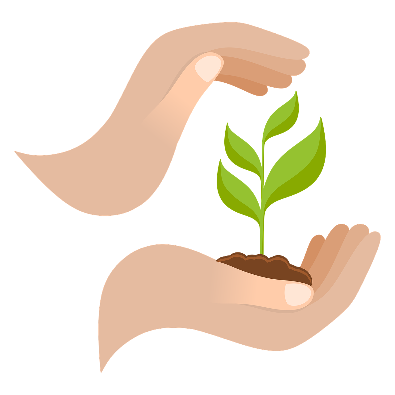 découvrez comment adopter une stratégie de croissance durable pour assurer le développement responsable et pérenne de votre entreprise, tout en respectant l’environnement et les enjeux sociaux.