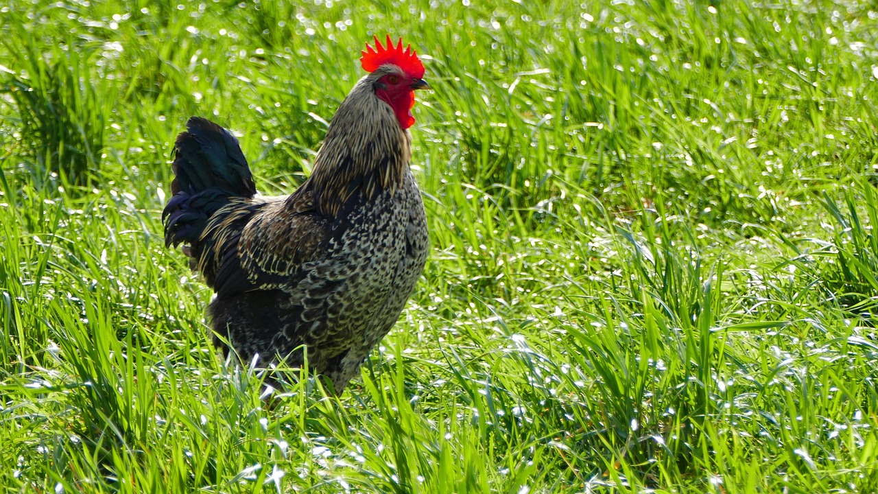 découvrez tout sur le sponsorship : types, avantages, conseils et stratégies pour réussir vos partenariats et booster la visibilité de votre marque grâce au sponsoring.