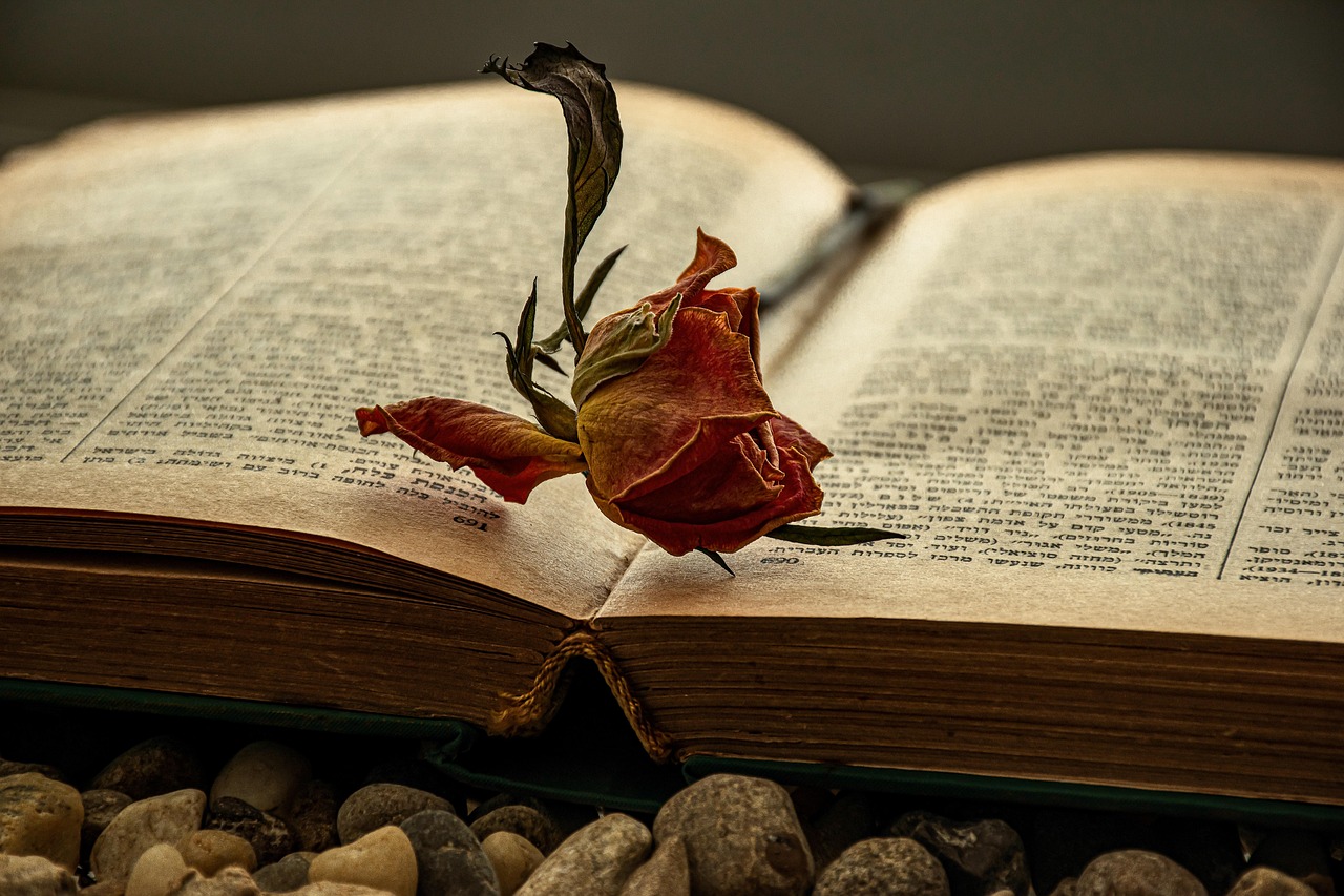 mod&egrave;le et conseils pour r&eacute;diger une lettre de motivation efficace afin de postuler &agrave; un emploi.